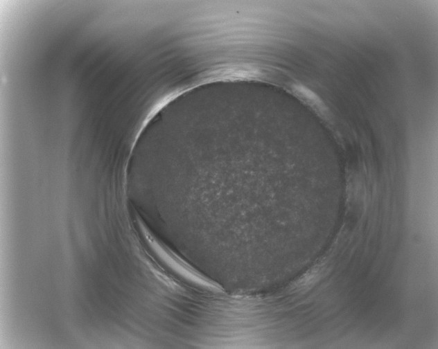 X0000066001226200603101522