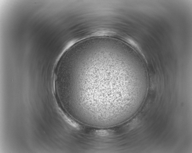 X0000066001227200603101522