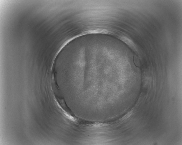 X0000066001228200603101522