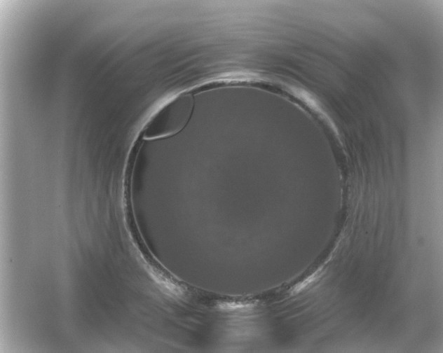 X0000066001229200603101522