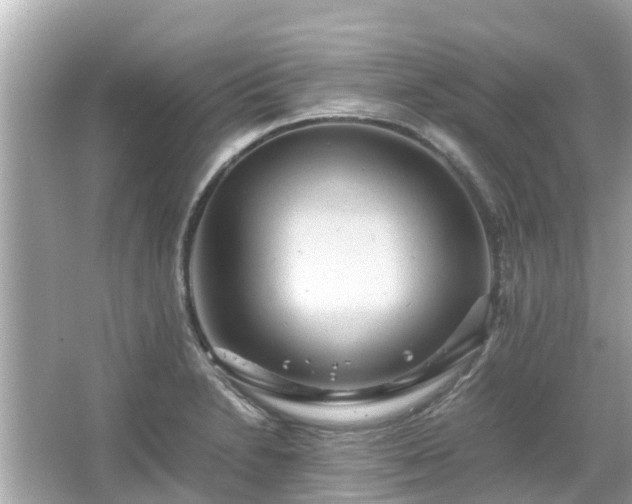 X0000066001230200603101522