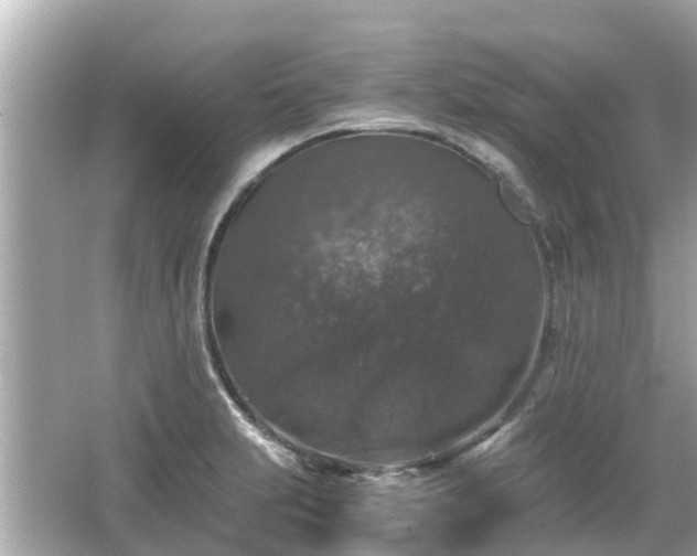 X0000066001231200603101522