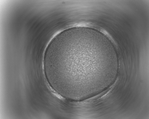 X0000066001232200603101522