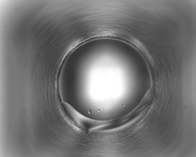 X0000066001234200603101522