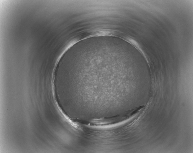 X0000066001235200603101522