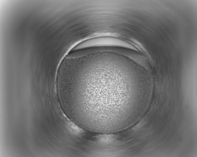 X0000066001236200603101522