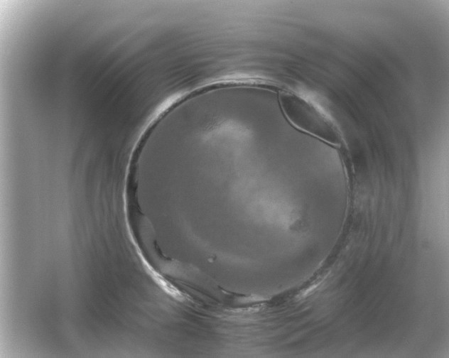 X0000066001237200603101522