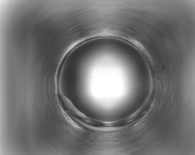 X0000066001238200603101522