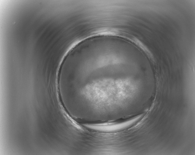 X0000066001240200603101522