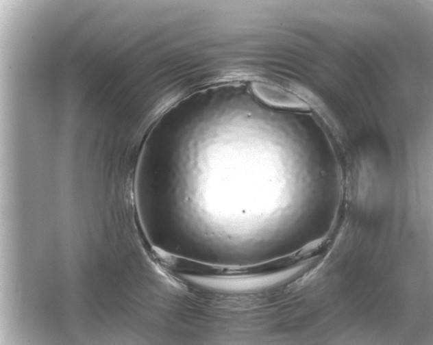 X0000066001241200603101522