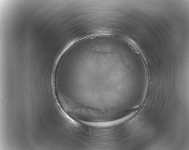 X0000066001243200603101522