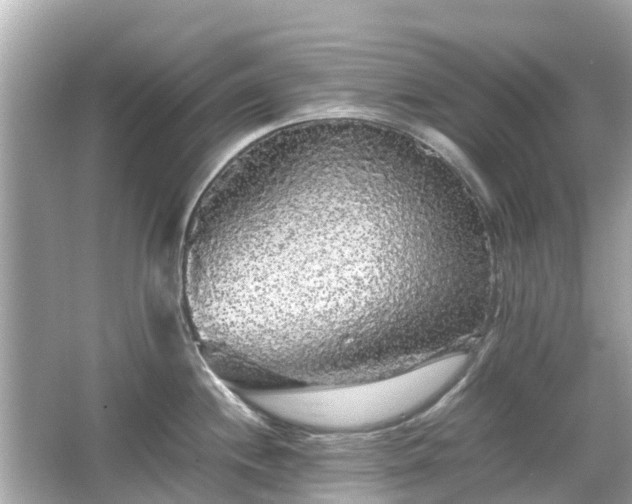 X0000066001244200603101522