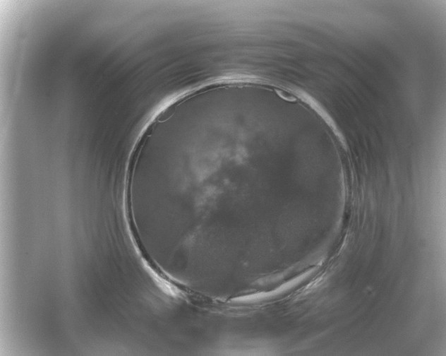 X0000066001245200603101522