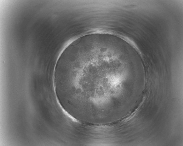 X0000066001247200603101522