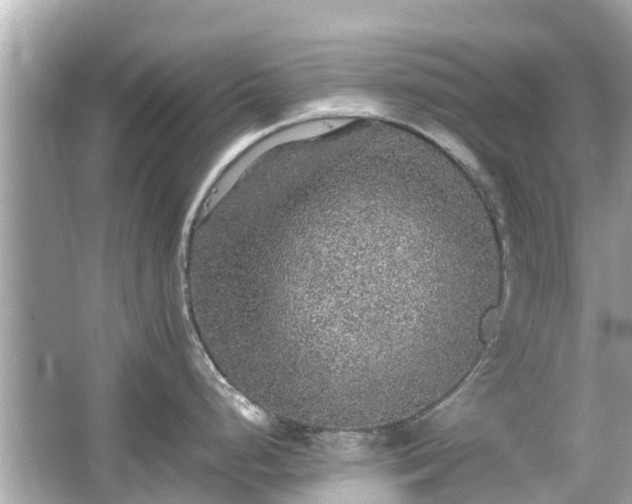 X0000066001248200603101522