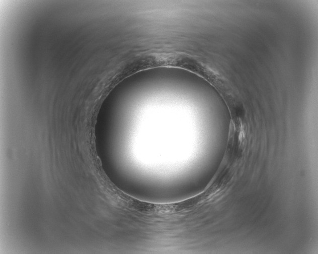 X0000066001249200603101521