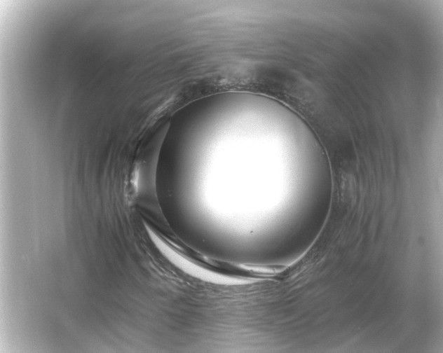 X0000066001250200603101521