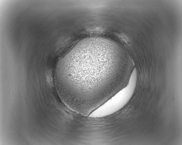 X0000066001252200603101521