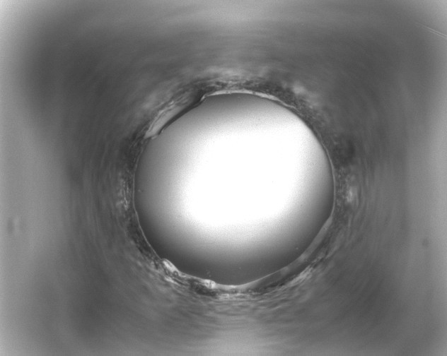 X0000066001253200603101521