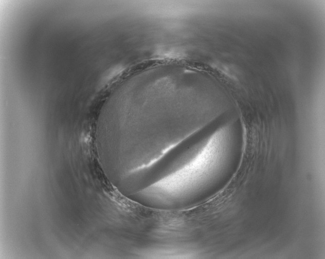 X0000066001254200603101521