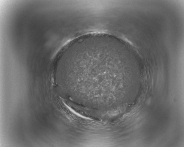 X0000066001255200603101521