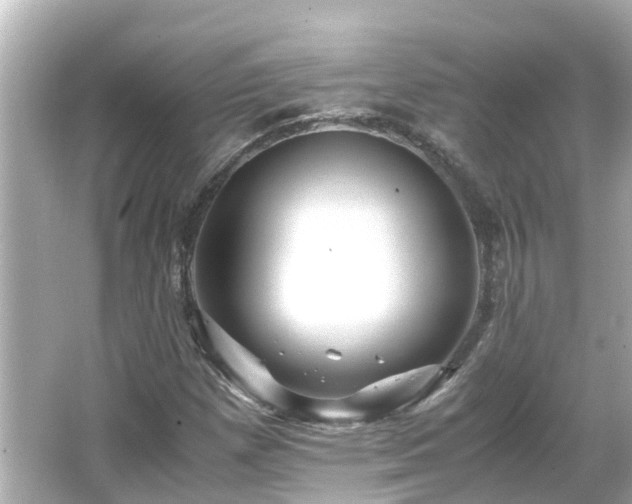 X0000066001257200603101521