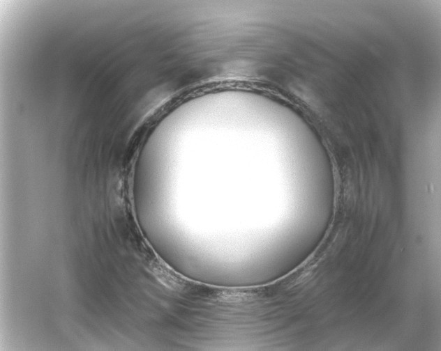 X0000066001258200603101521