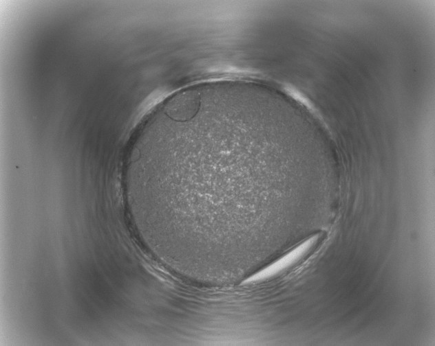 X0000066001259200603101521