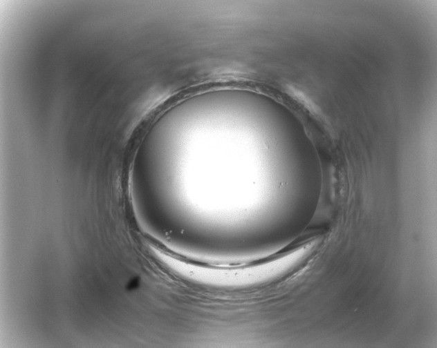 X0000066001261200603101521