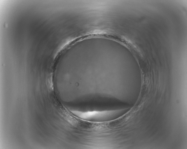 X0000066001262200603101521