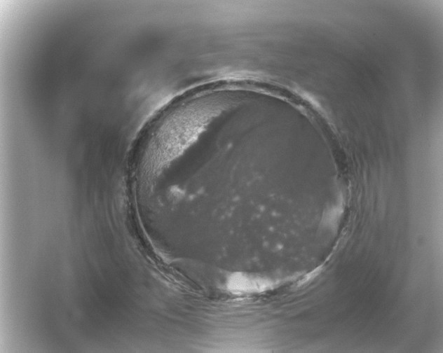 X0000066001263200603101521