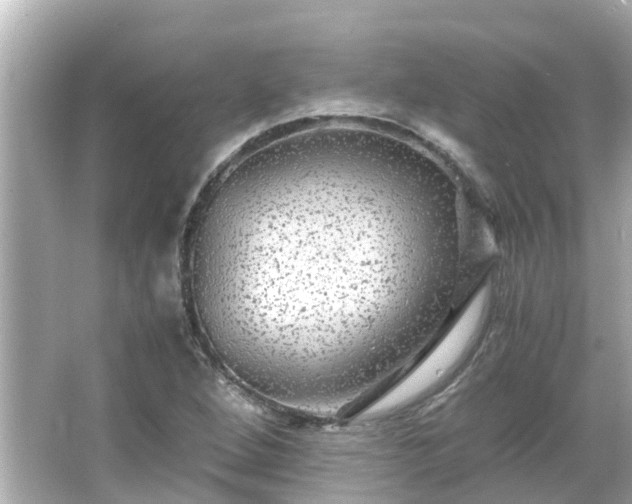 X0000066001264200603101521