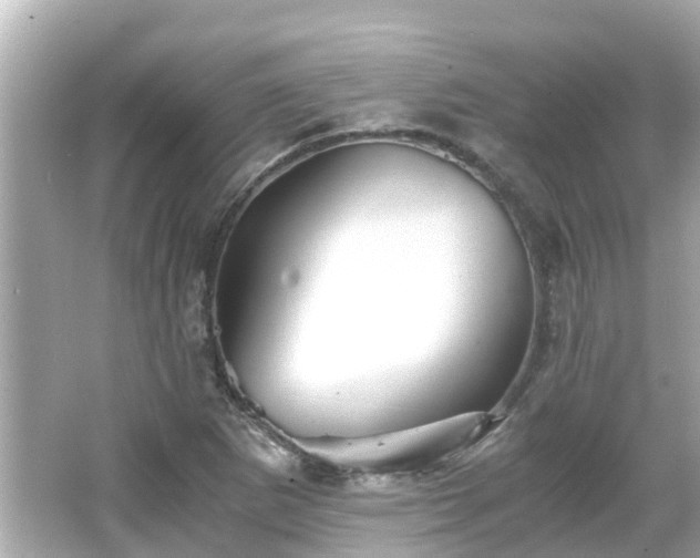 X0000066001265200603101521