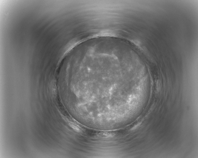 X0000066001266200603101521