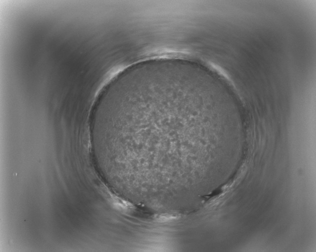 X0000066001267200603101521