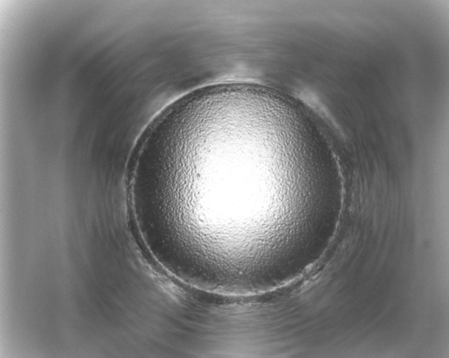 X0000066001268200603101521