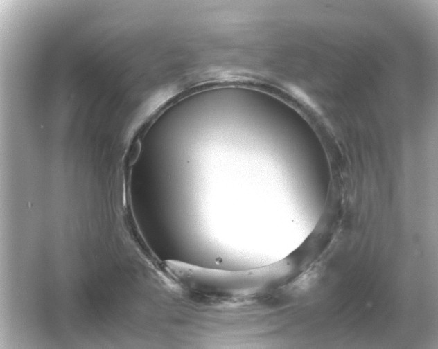 X0000066001269200603101521