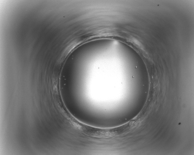 X0000066001273200603101521