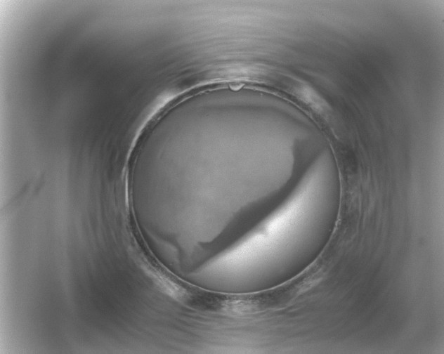 X0000066001275200603101521