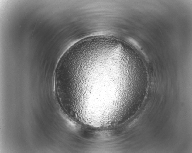 X0000066001276200603101521