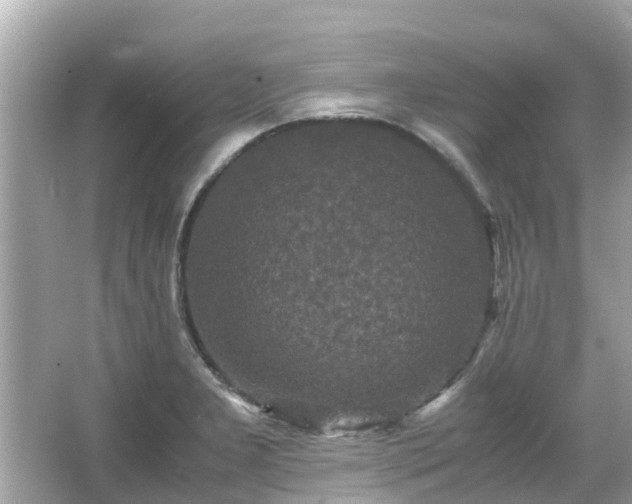 X0000066001277200603101521