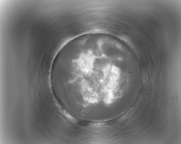 X0000066001278200603101521