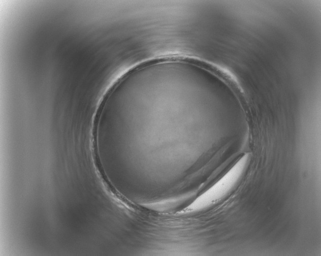 X0000066001279200603101521