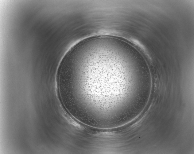 X0000066001280200603101521