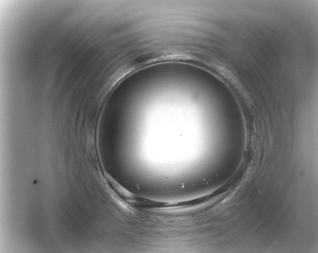 X0000066001281200603101521