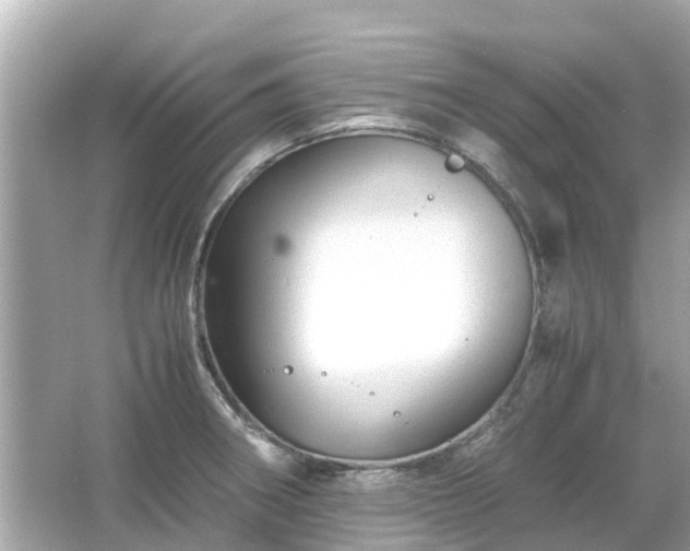 X0000066001282200603101521