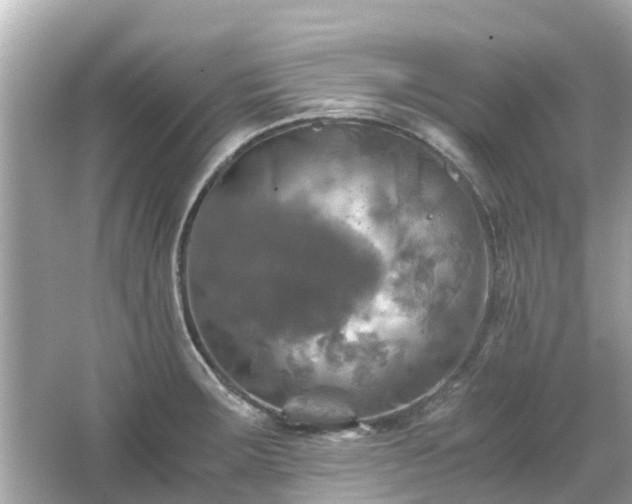 X0000066001283200603101521