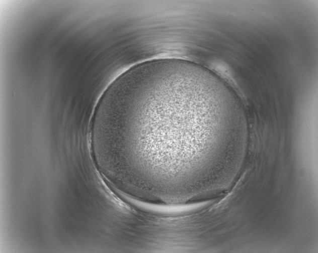 X0000066001284200603101521