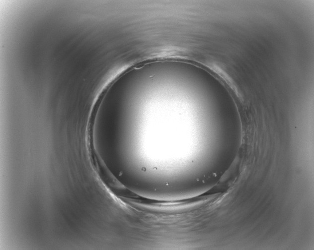 X0000066001285200603101521