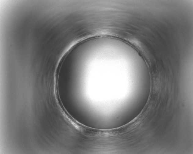 X0000066001286200603101521